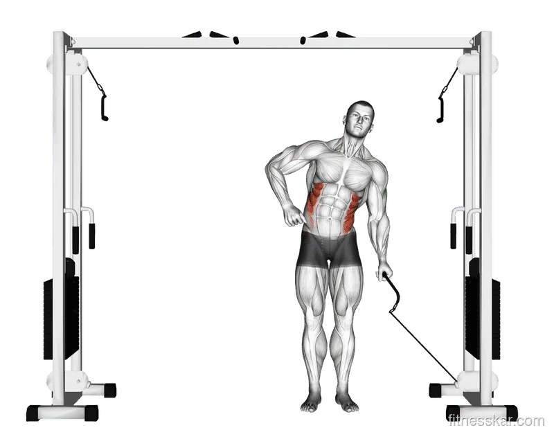 Cable Side Bend, Male demonstration, Start