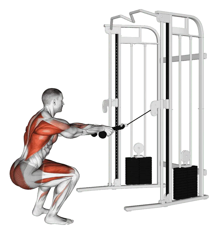 Cable Squat Row (with rope attachment)