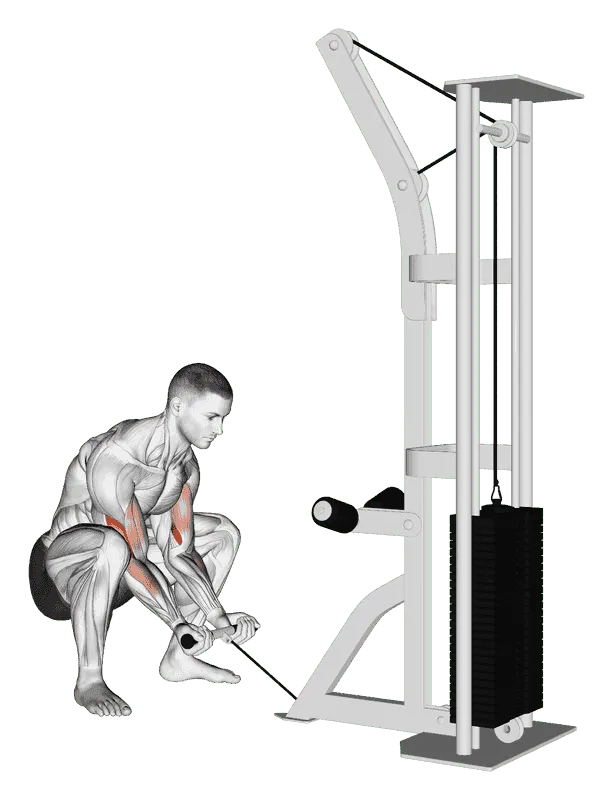 Cable Squatting Curl, Male demonstration, Start
