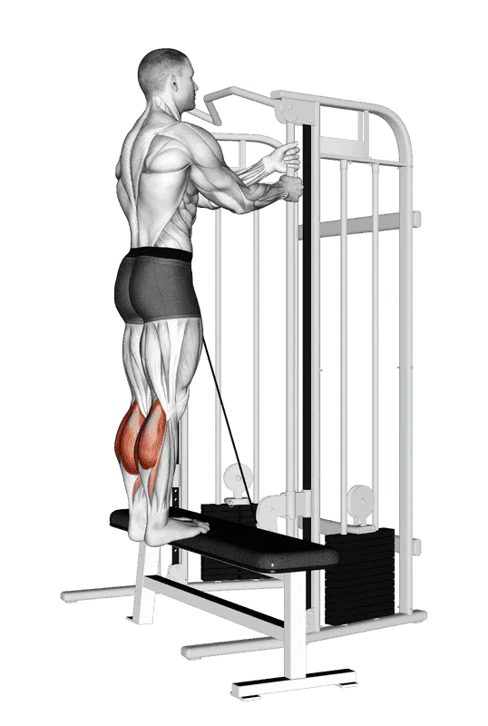 Cable Standing Calf Raise, Male demonstration, Start