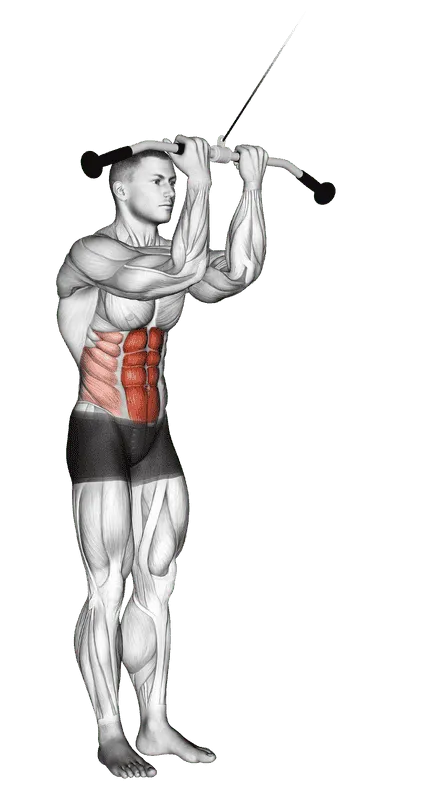 Cable Standing Crunch