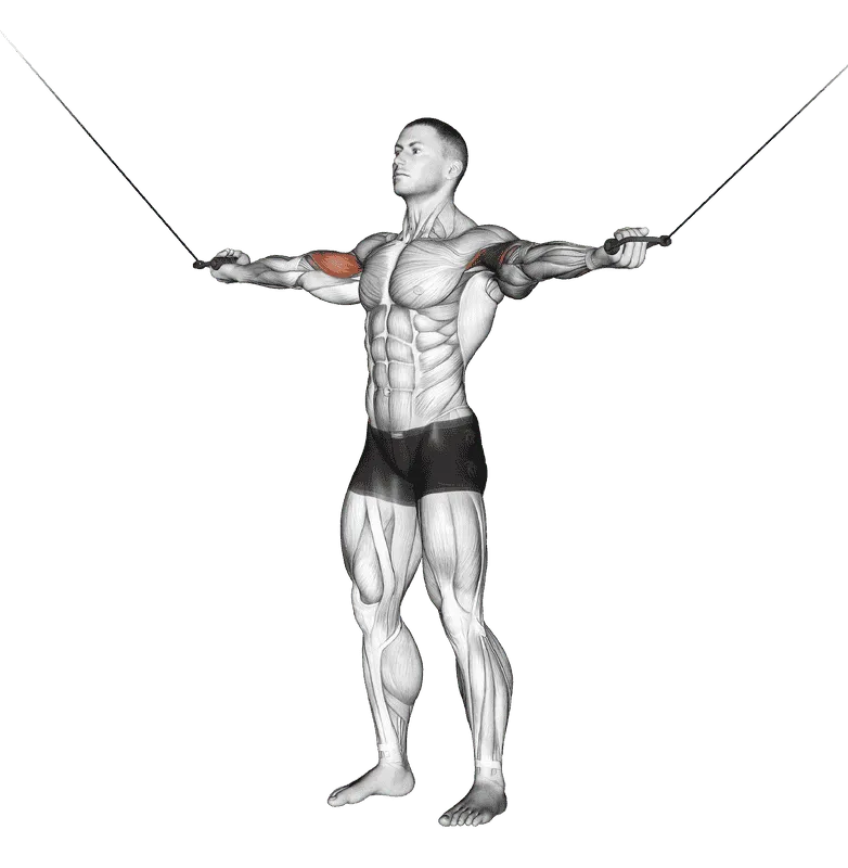 Cable Standing Inner Curl, Male demonstration, Start