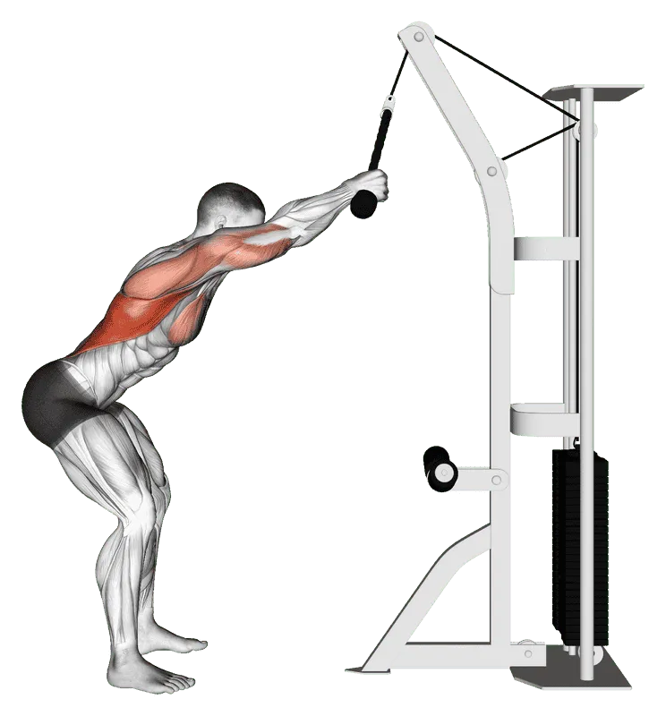 Cable Standing Lat Pushdown (Rope Equipment)