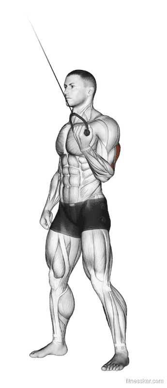 Cable Standing One-Arm Triceps Extension