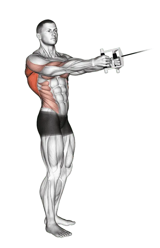 Cable Standing Twist Row (V-bar)