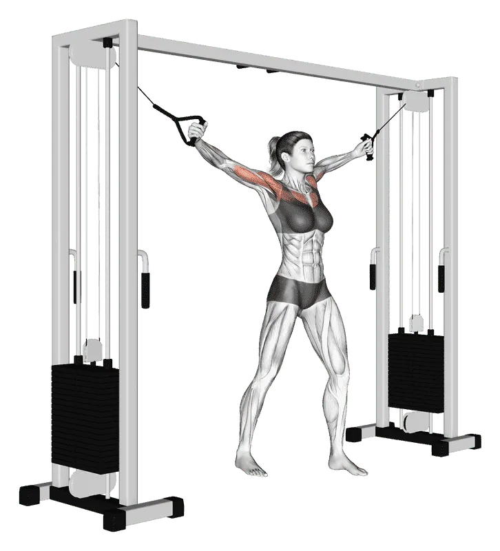 Cable Standing Up Straight Crossovers, Female demonstration, Start