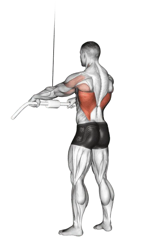 Cable Straight Arm Pulldown