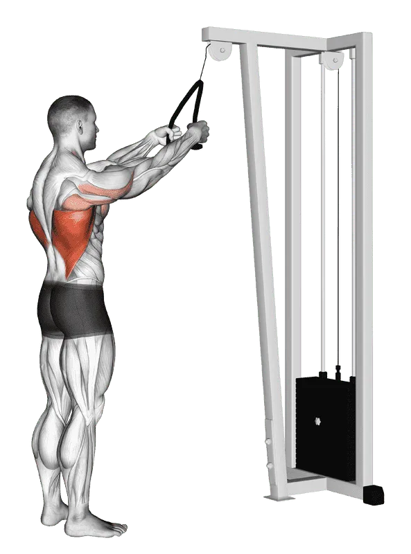 Cable Straight Arm Pulldown (with Rope)