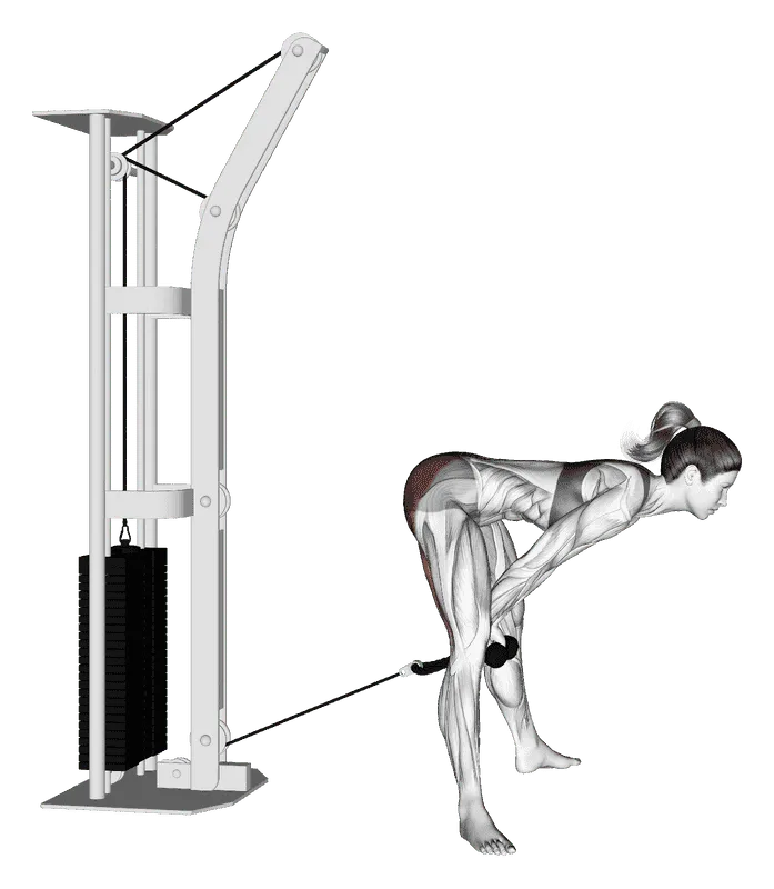Cable Straight Legs Pull Through, Female demonstration, Start