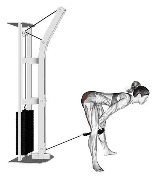 Cable Straight Legs Pull Through (with rope), Female demonstration, Start