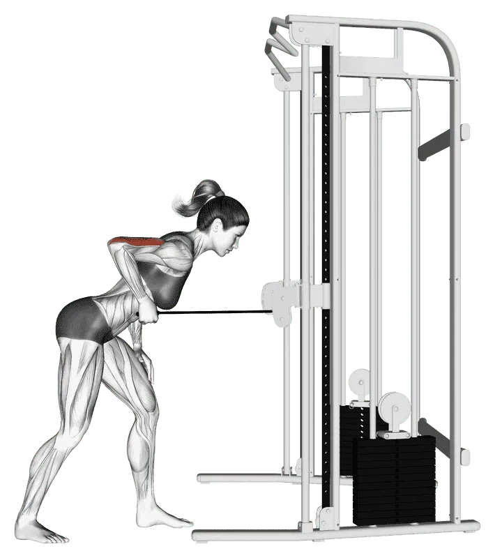 Cable Tricep Kickback