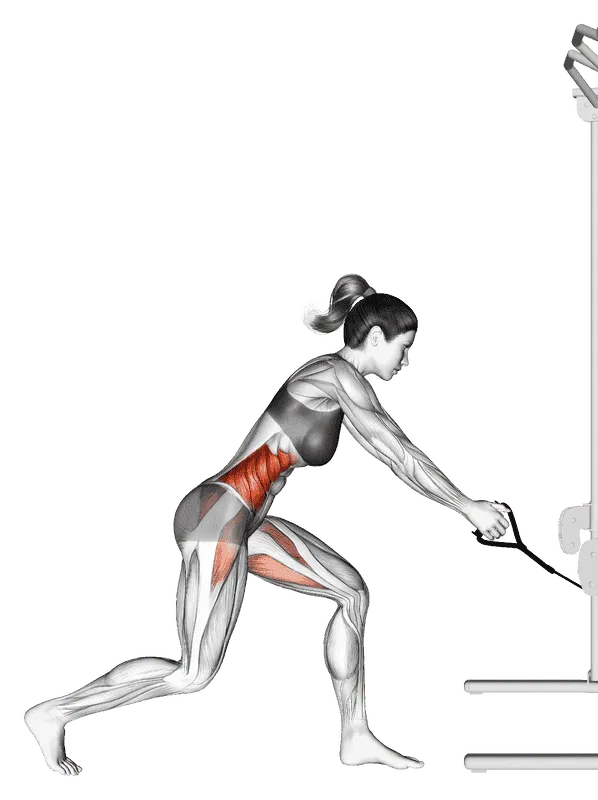 Cable Twist (Down-Up), Female demonstration, Start