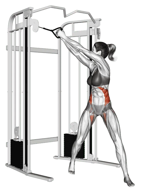 Cable Twist (Up-Down), Female demonstration, Start