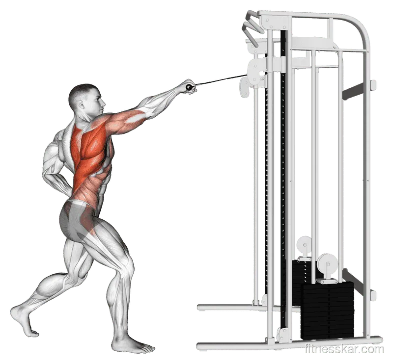 Cable Twisting Standing High Row, Male demonstration, Start