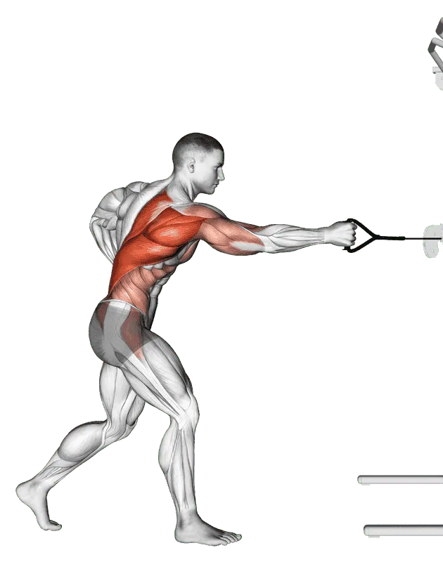 Cable Twisting Standing Row