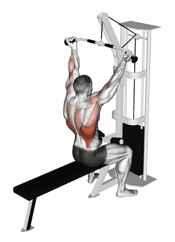 Cable Underhand Pulldown, Male demonstration, Start