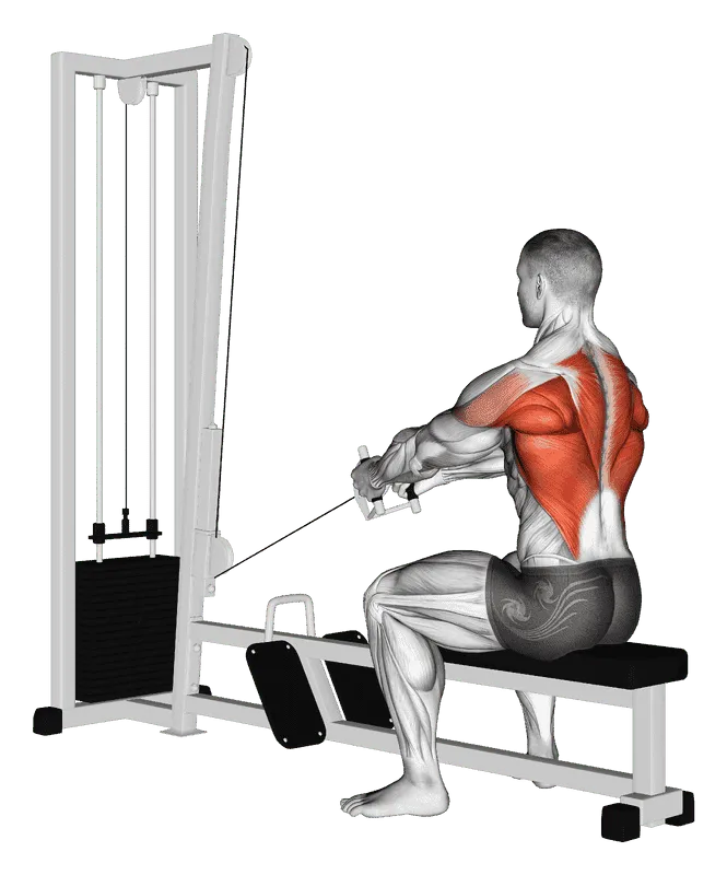 Cable Upper Row, Male demonstration, Start