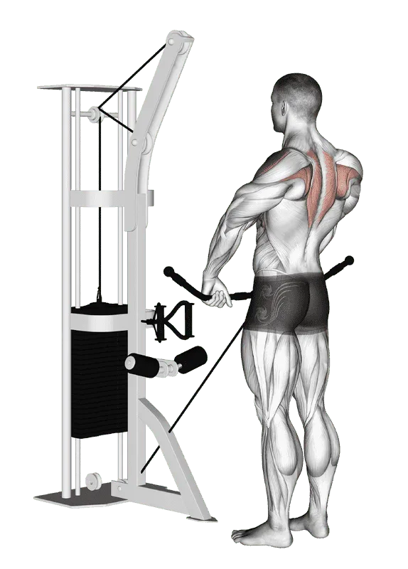 Cable Upright Row