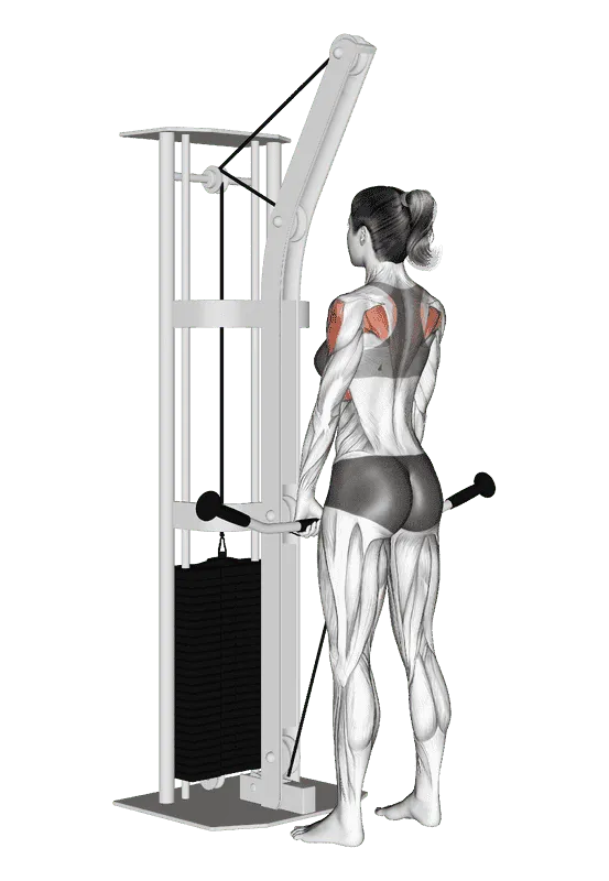 Cable Upright Row, Female demonstration, Start