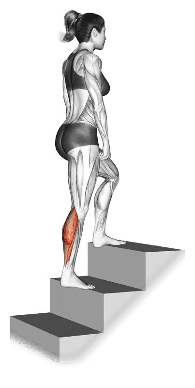 Calf Stretch