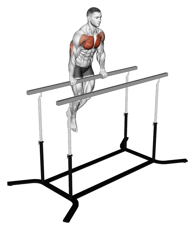 Chest Dip on Straight Bar