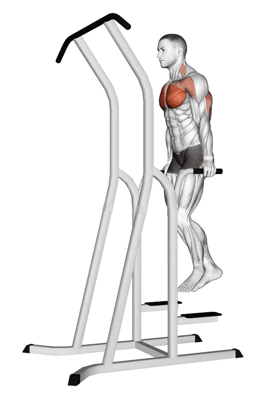 Chest Dip (on dip pull-up cage)