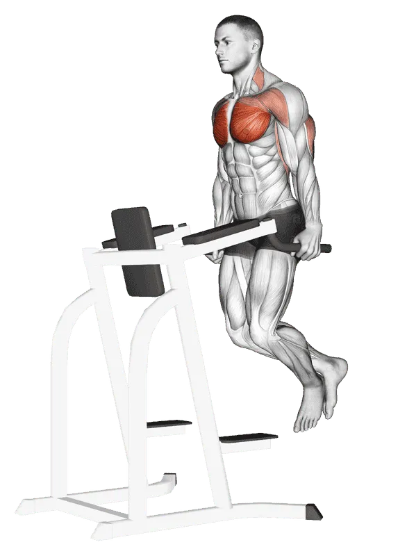 Chest Dip