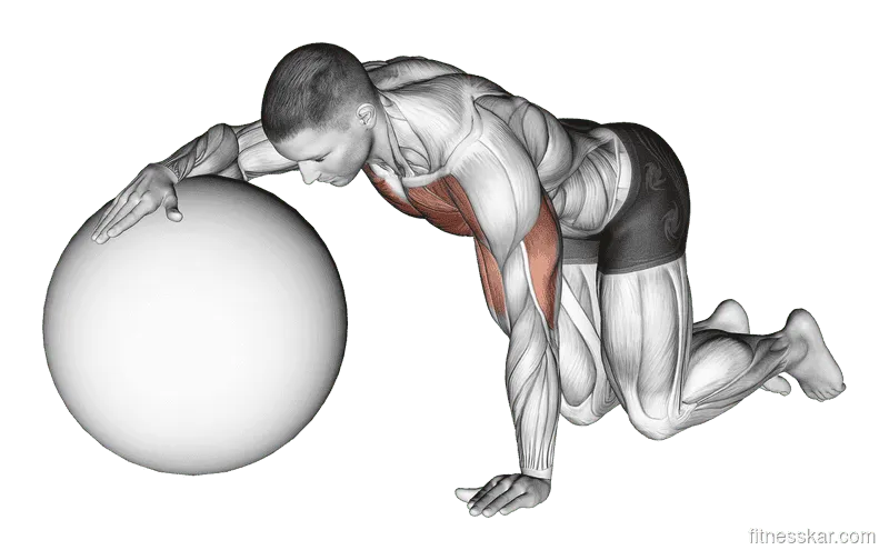 Chest Stretch with Exercise Ball, Male demonstration, Start