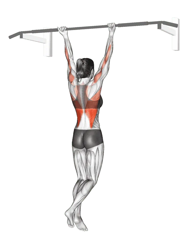 Chin-Up, Female demonstration, Start