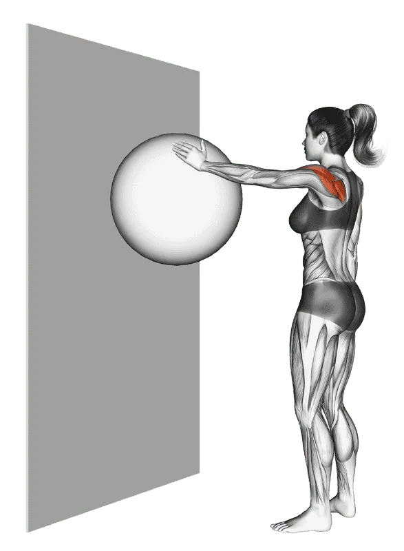 Circles with Ball (Wall)