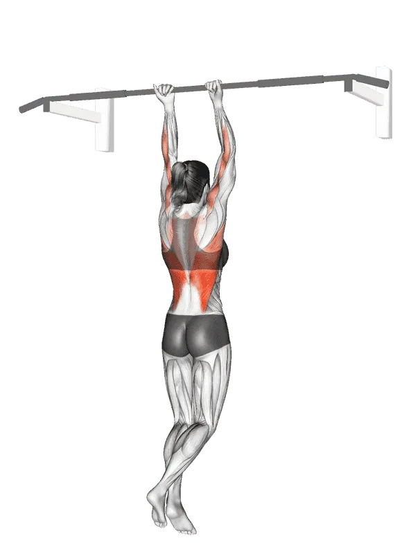 Close-Grip Chin-Up, Female demonstration, Start