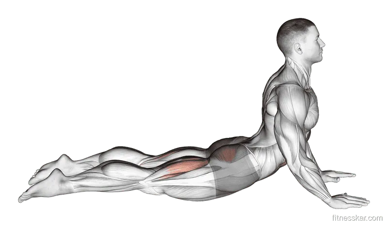 Cobra Yoga Pose