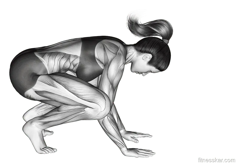 Crane Pose (Bakasana)