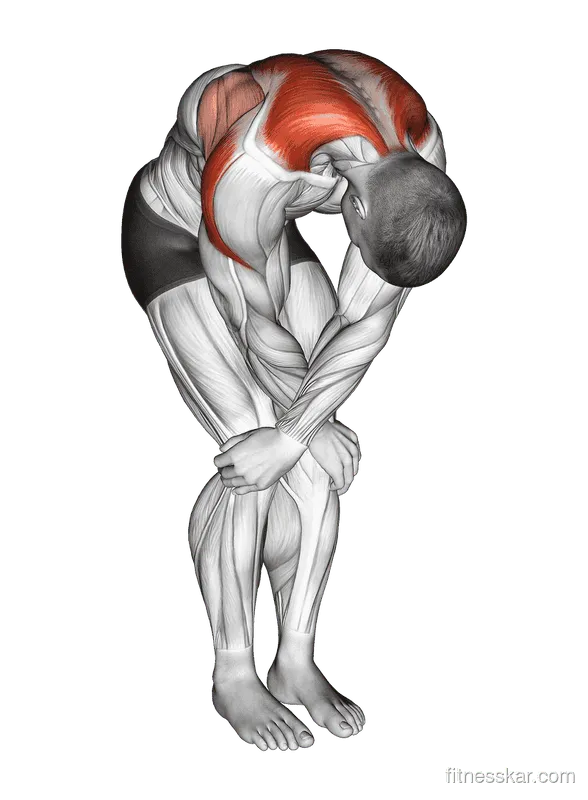 Cross-Over Shoulder Stretch