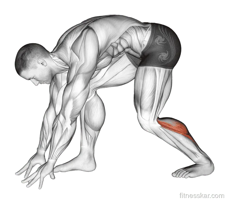 Crouching Heel Back Achilles Stretch