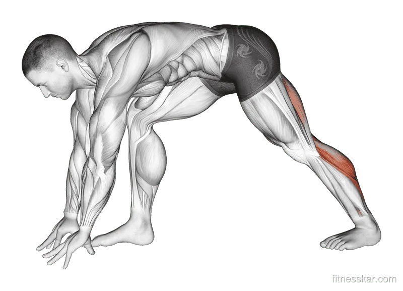 Crouching Heel Back Calf Stretch, Male demonstration, Start