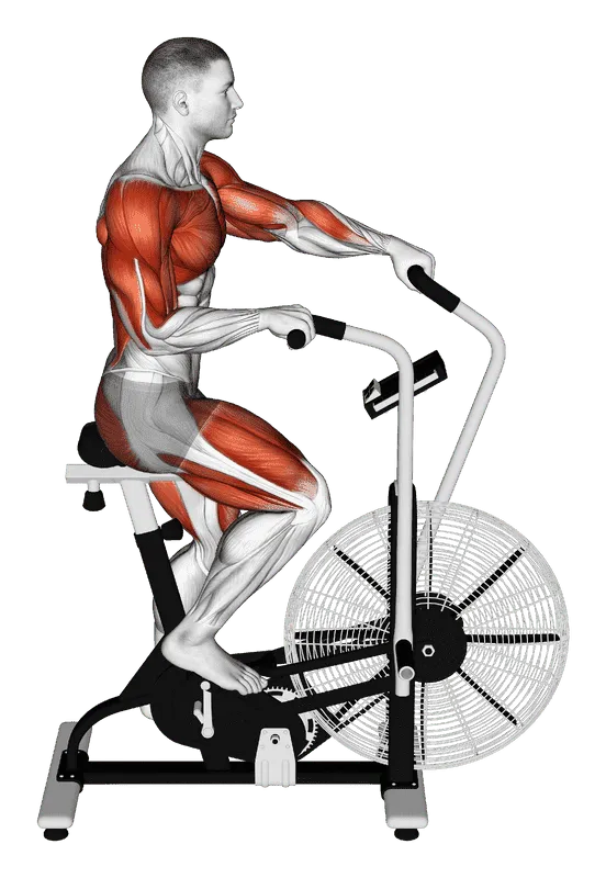Cycle Cross Trainer, Male demonstration, Start