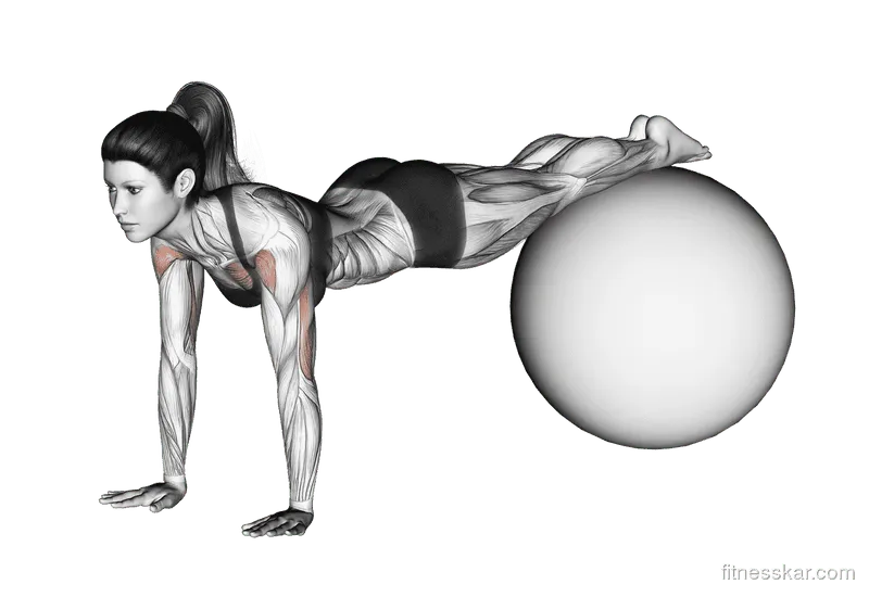 Decline Push-up (on stability ball)