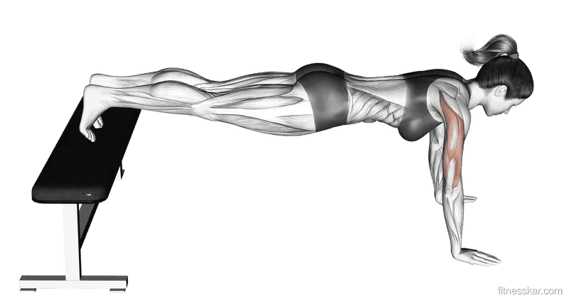 Decline Push-up, Female demonstration, Start