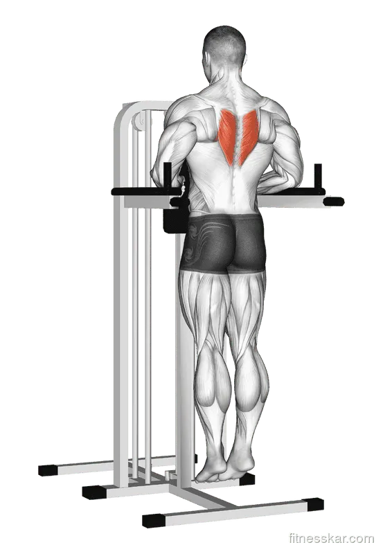 Depression in Parallel Bars, Male demonstration, Start