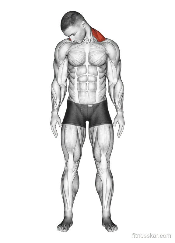 Diagonal Flexion Neck Stretch, Male demonstration, Start