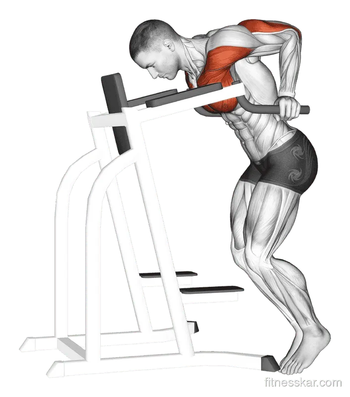 Dip Hold (Isometric), Male demonstration, Start