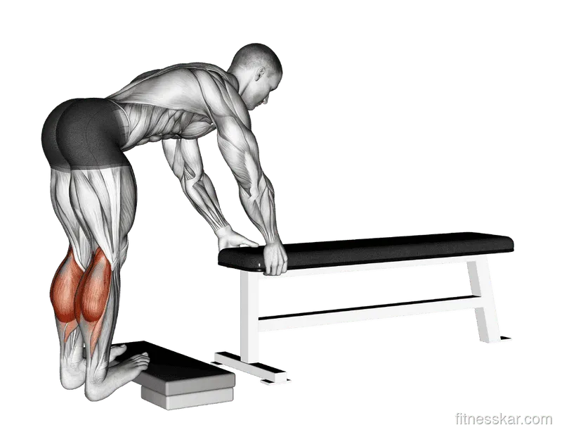 Donkey Calf Raise, Male demonstration, Start