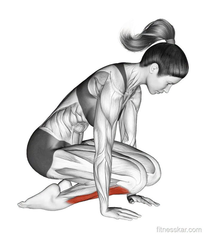 Double Kneeling Shin Stretch, Female demonstration, Start