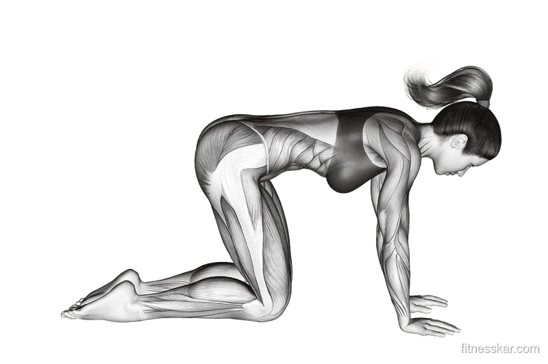 Downward-Facing Dog, Female demonstration, Start