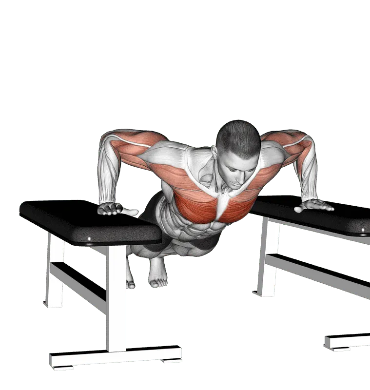 Drop Push-Up, Male demonstration, Start