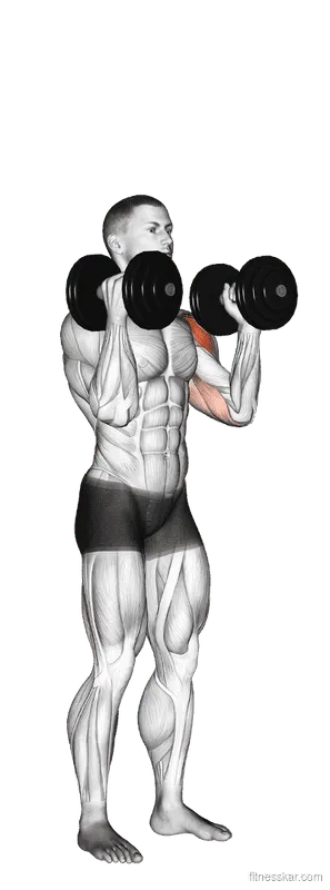 Dumbbell Alternate Side Press