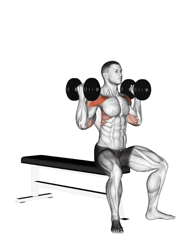 Dumbbell Arnold Press