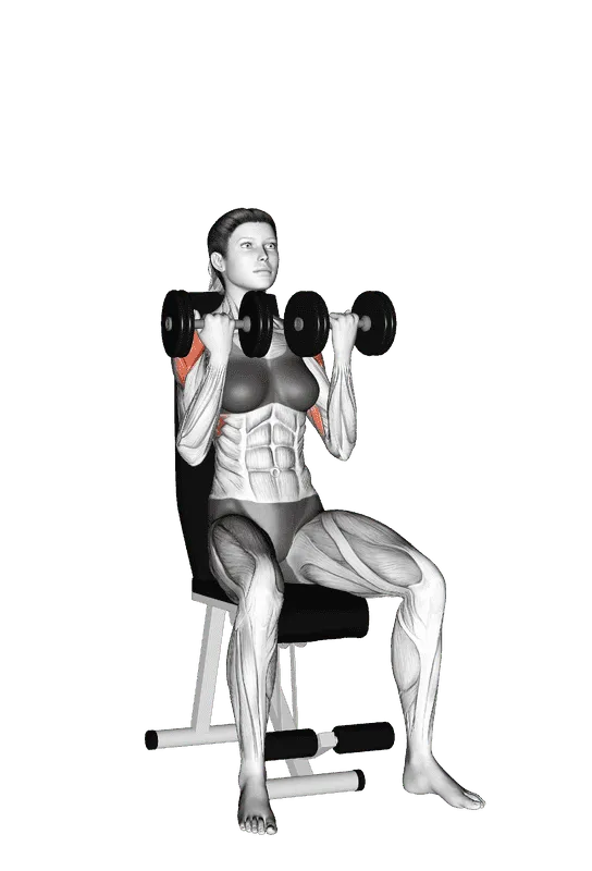 Dumbbell Arnold Press, Female demonstration, Start