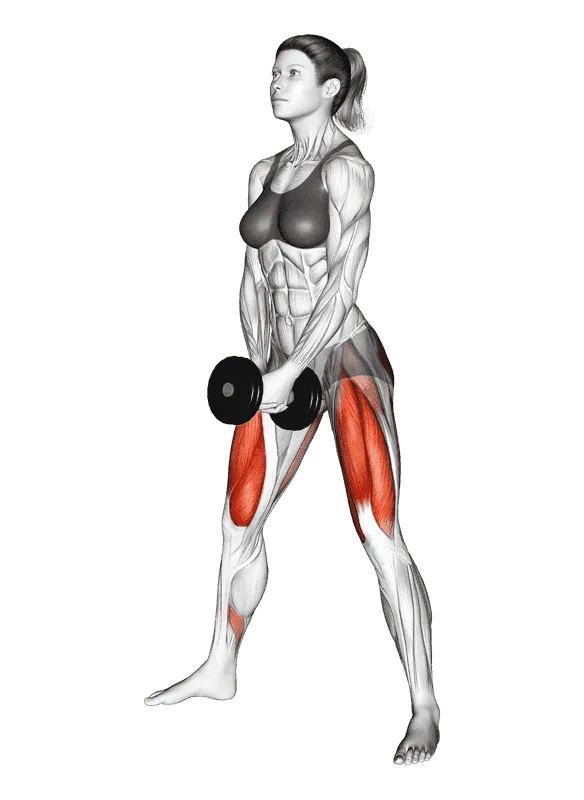 Dumbbell Bar Grip Sumo Squat